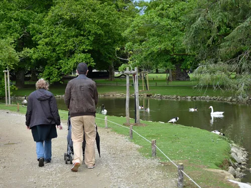 Déconfinement : le parc de Branféré accueille le public 